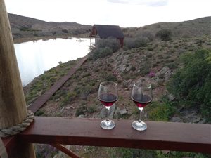2998 ha Farm in Ladismith