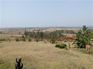 23 ha Farm in Barberton