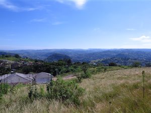 1.9 ha Land available in Nagina