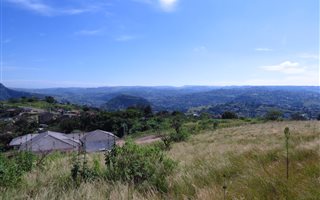 1.9 ha Land available in Nagina