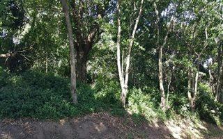 1121 m² Land available in Anerley