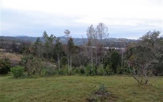 1638 m² Land available in Westford Bridge
