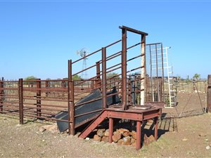 949 ha Farm in Koopmansfontein