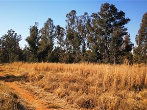3.8 ha Land available in Valley Settlements AH