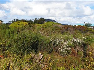 770 m² Land available in Bettys Bay