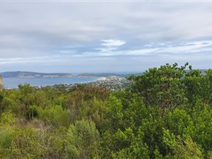 1303 m² Land available in Cutty Sark