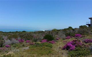 1125 m² Land available in Pinnacle Point Golf Estate