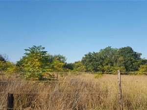 1 ha Land available in Rietfontein