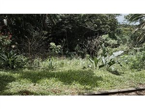 1291 m² Land available in Marina Beach