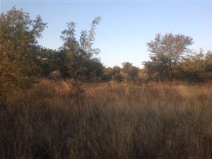 31.6 ha Land available in Krokodilspruit