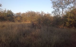 31.6 ha Land available in Krokodilspruit