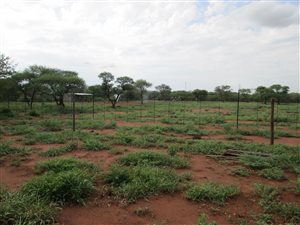 42 ha Farm in Northam