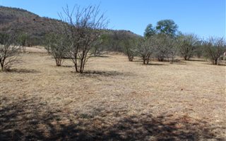 1140 m² Land available in Ville D Afrique