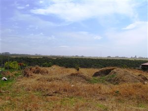 784 m² Land available in Sunrise on Sea