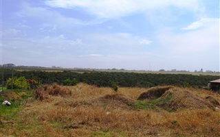 784 m² Land available in Sunrise on Sea