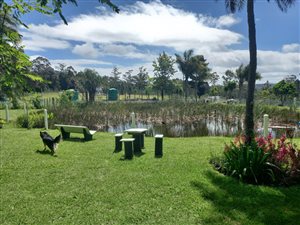 6.6 ha Farm in Harkerville