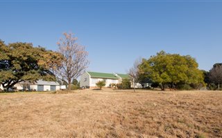 2.1 ha Farm in De Deur