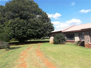 3 Bed House in Delmas