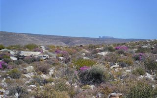 5438.1 ha Farm in Calvinia