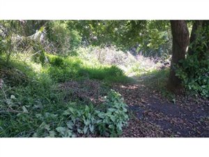 3516 m² Land available in Ramsgate