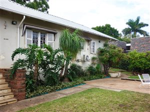 7 Bed House in Arcadia