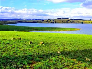5 ha Land available in Dargle