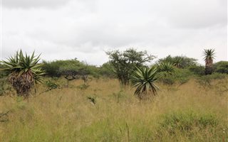 23 ha Land available in Tweefontein