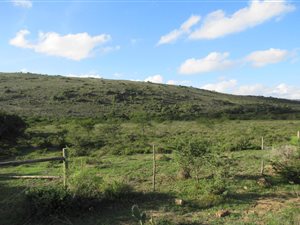 8712 m² Land available in Grahamstown Central