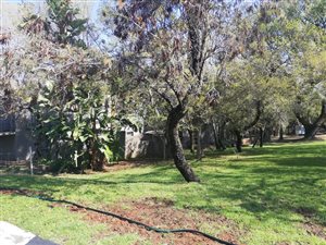 954 m² Land available in Seasons Lifestyle Estate