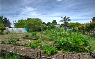 3.3 ha Farm in The Crags