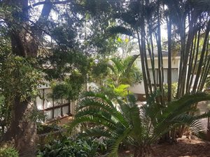 5 Bed House in Panorama