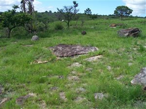 1017 m² Land available in Margate