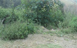907 m² Land available in Kingsburgh