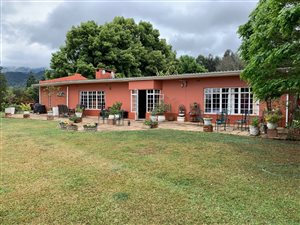 17.8 ha Farm in Howick