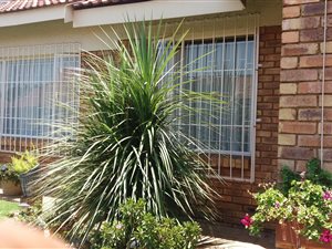 3 Bed Simplex in Selcourt