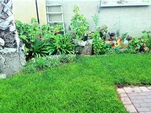 4 Bed House in Kathu