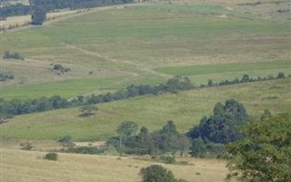20.2 ha Land available in Cato Ridge