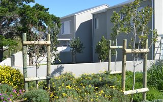 3 Bedroom Duplex in Dennegeur