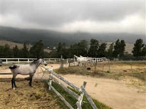 680 ha Farm in Northern Paarl
