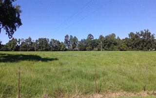 60.8 ha Farm in Lions River