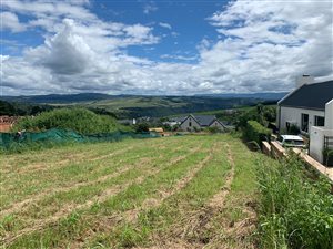 1800 m² Land available in Hilton