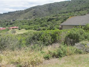 629 m² Land available in Reebok