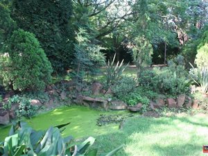 2 ha Farm in Bapsfontein