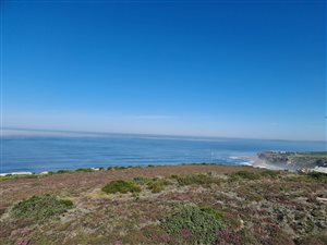 1125 m² Land available in Pinnacle Point Golf Estate