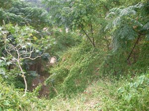 1114 m² Land available in Rose Hill
