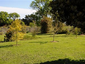 2.3 ha Farm in Rheenendal