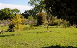 2.3 ha Farm in Rheenendal