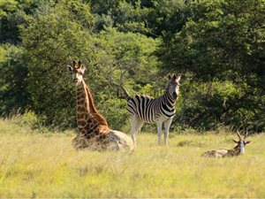 1607 m² Land available in Hartenbos