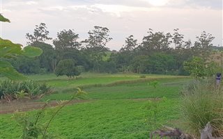 4 ha Farm in Shakaskraal