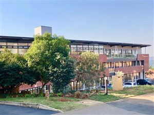 142 m² Office Space in Montrose